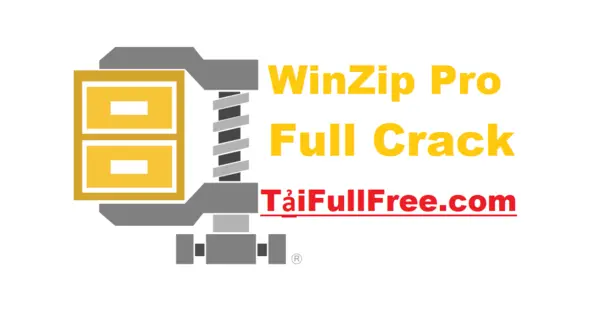 Tải WinZip Pro 29.0.16250 Full Miễn Phí [Mới Nhất 2024]